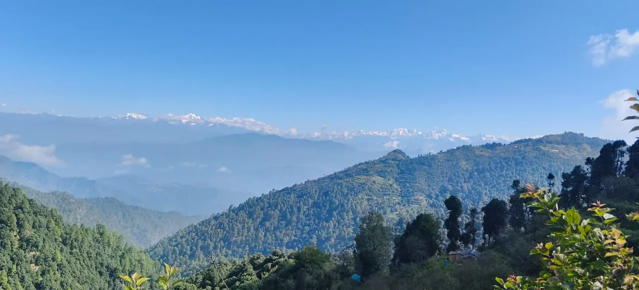 A wide view of the Himalayan snow peaks from the hills around Kanatal