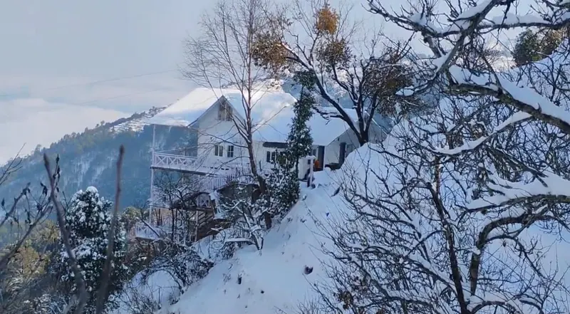 The orchard under snow at Namah Stay Himalayas, Kanatal